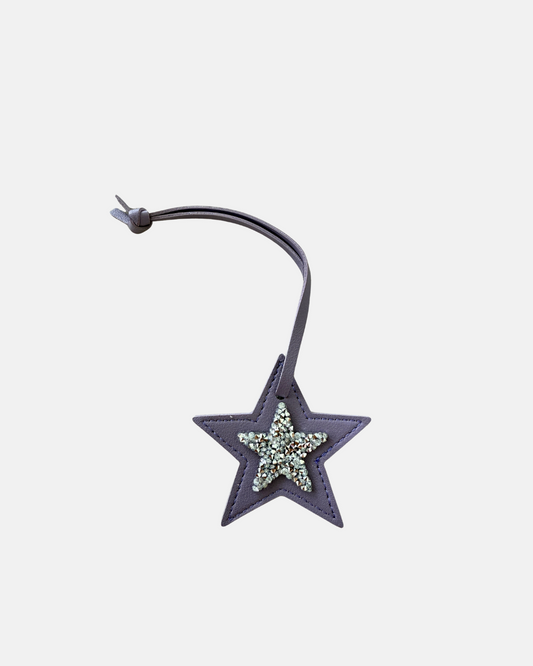 Luna Star Purple Charm