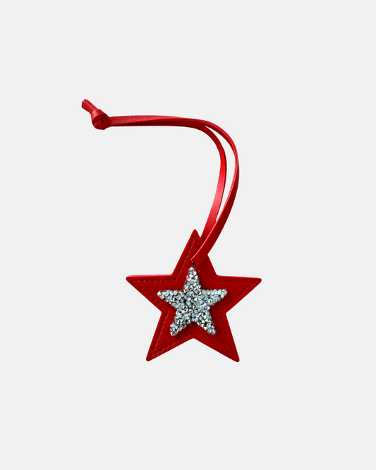 Luna Star Red Charm