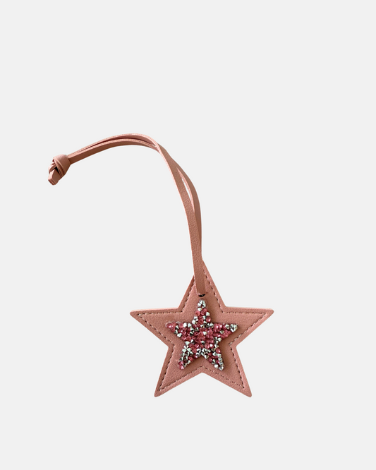 Luna Star Light Pink Charm