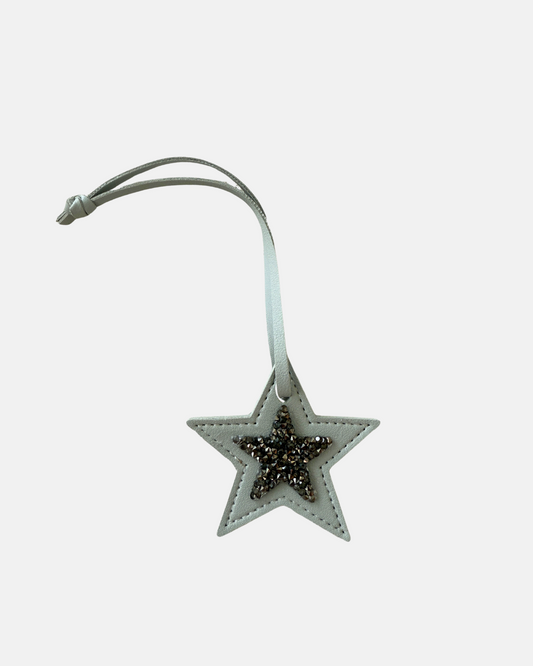 Luna Star Gray Charm
