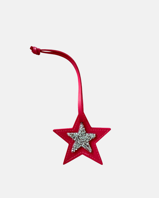 Luna Star Pink Charm